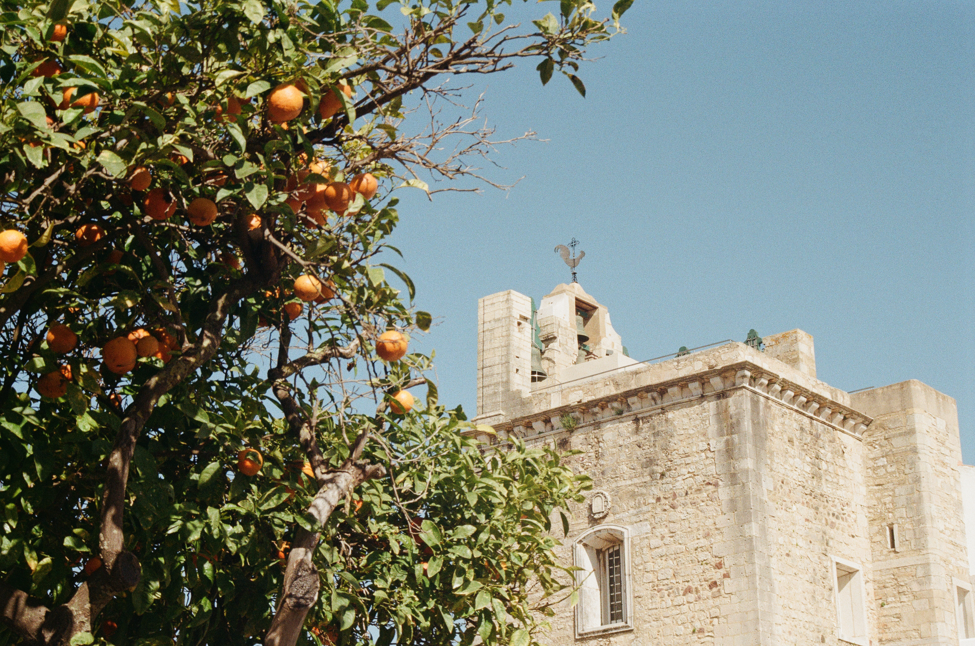 Konica film photo