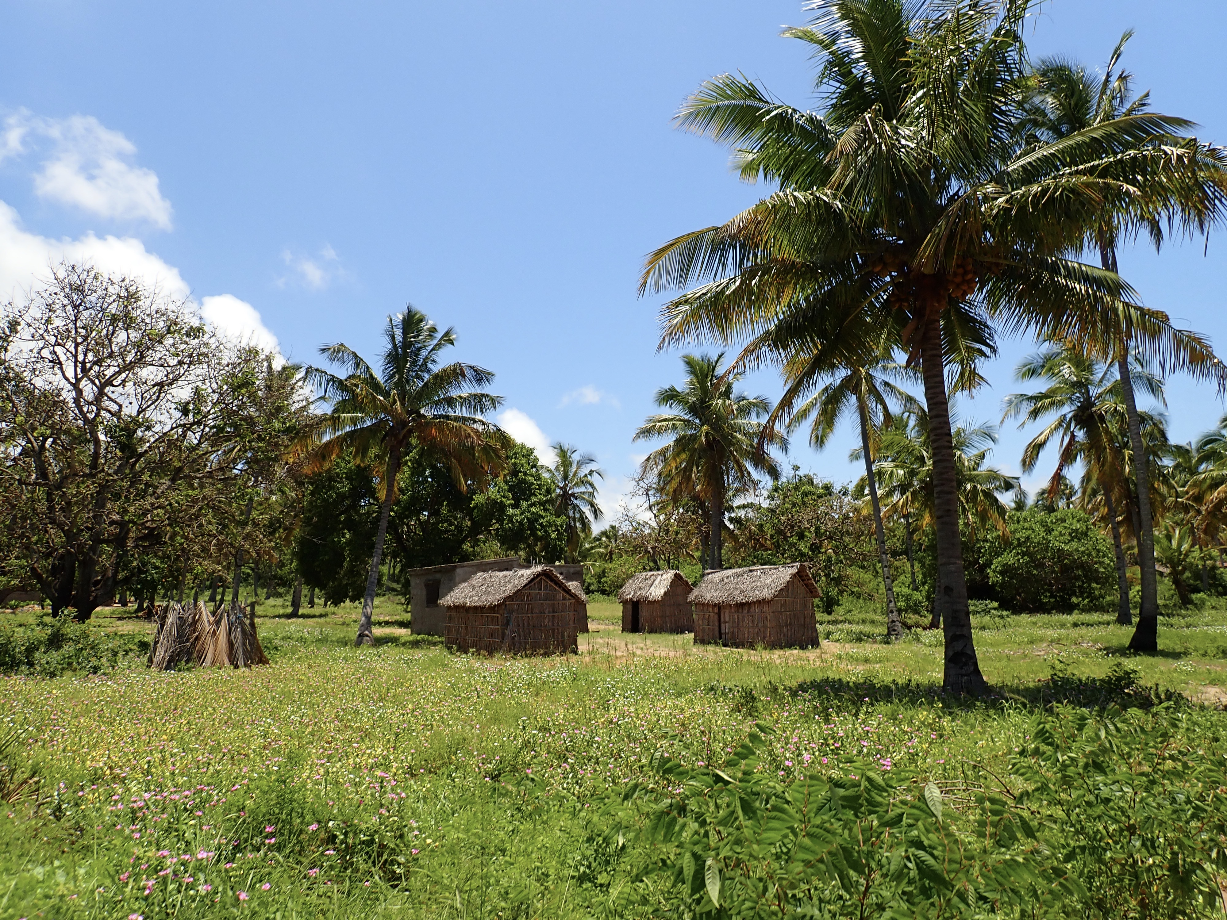 Mozambique