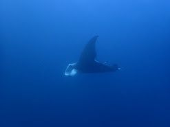 Mozambique